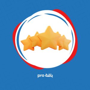 ⁦تأسيس وتصميم وبرمجة المتجر الالكتروني على منصة زد او سلة (باقة برو كود)⁩ - الصورة ⁦3⁩